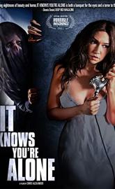 It Knows You're Alone poster