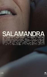 The Salamander poster