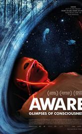 Aware: Glimpses of Consciousness poster