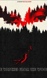 She Watches from the Woods poster