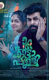 Pidikittapulli poster