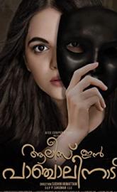 Alice in Panchalinadu poster