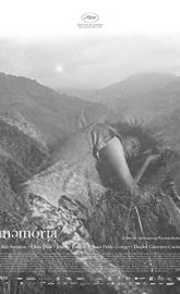 Memoria poster