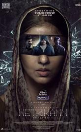 Netrikann poster