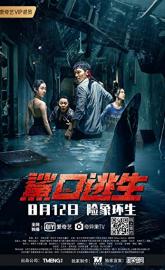 Escape of Shark poster