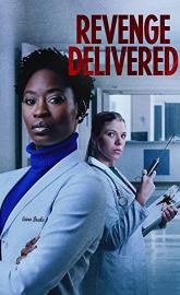 Revenge Delivered poster