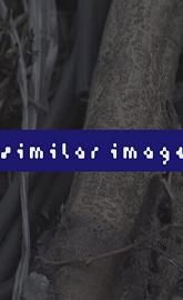 Similar Image poster
