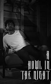 A Howl in the Night poster