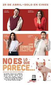 No es lo que parece poster