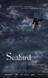Seabird poster