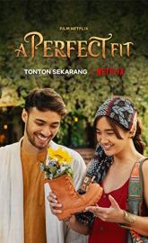 A Perfect Fit poster