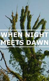 When Night Meets Dawn poster