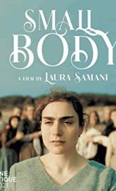 Small Body poster