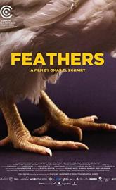 Feathers poster