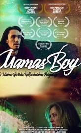 Mama's Boy poster