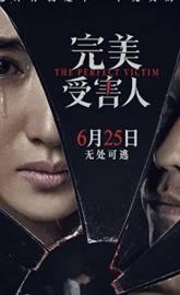 The Perfect Victim poster