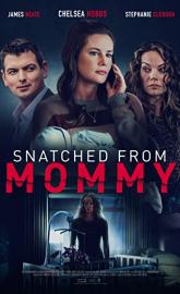 Snatched from Mommy poster