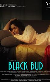 Black Bud poster