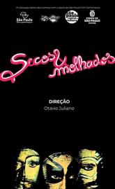 Secos & Molhados poster
