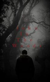 John in the Woods poster
