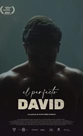 The Perfect David poster