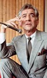 Bernstein's Wall poster
