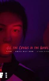 All the Crows in the World poster