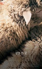 A Distant Place poster