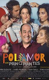 Polyamory for Dummies poster