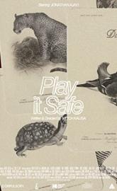 Play It Safe poster