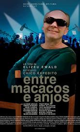 Entre Macacos e Anjos poster