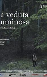 The Luminous View poster