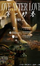Love After Love poster