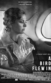 A Bird Flew In poster