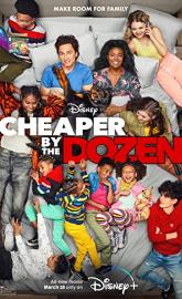 Cheaper by the Dozen poster
