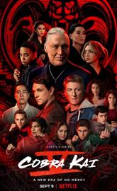 Cobra Kai poster
