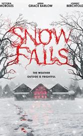 Snow Falls poster