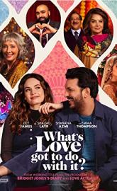 What's Love Got to Do with It? poster