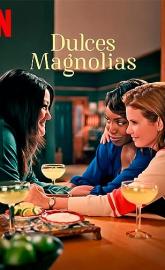 Sweet Magnolias poster