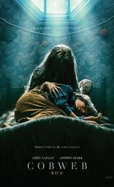 Cobweb poster