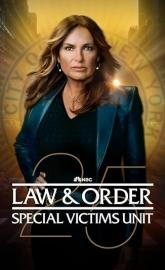 Law & Order: Special Victims Unit poster